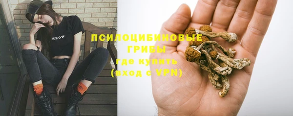 кокс Арсеньев