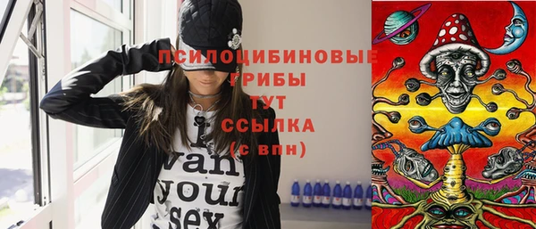 твердый Алексин