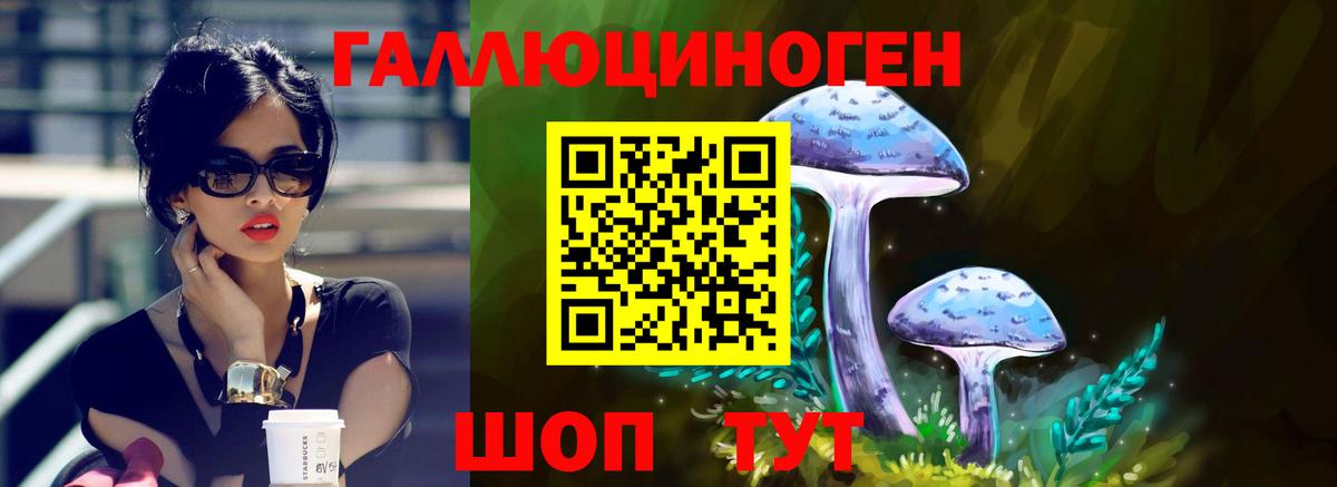 Протвино  Псилоцибиновые грибы мицелий  что такое   Вход с VPN 